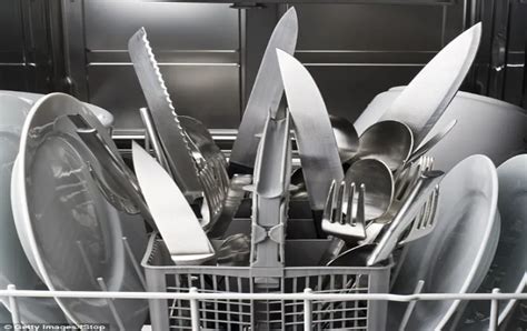 can knives go in the dishwasher? A closer look at the safety and practicality of knife care in the modern kitchen