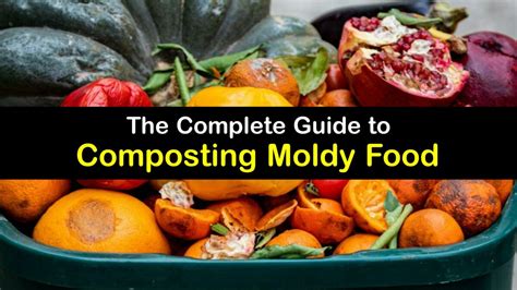 Can you compost moldy food? Exploring the Intricacies of Composting and Food Waste Management